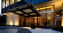 The Ritz-Carlton  (D9), Condominium #500621871